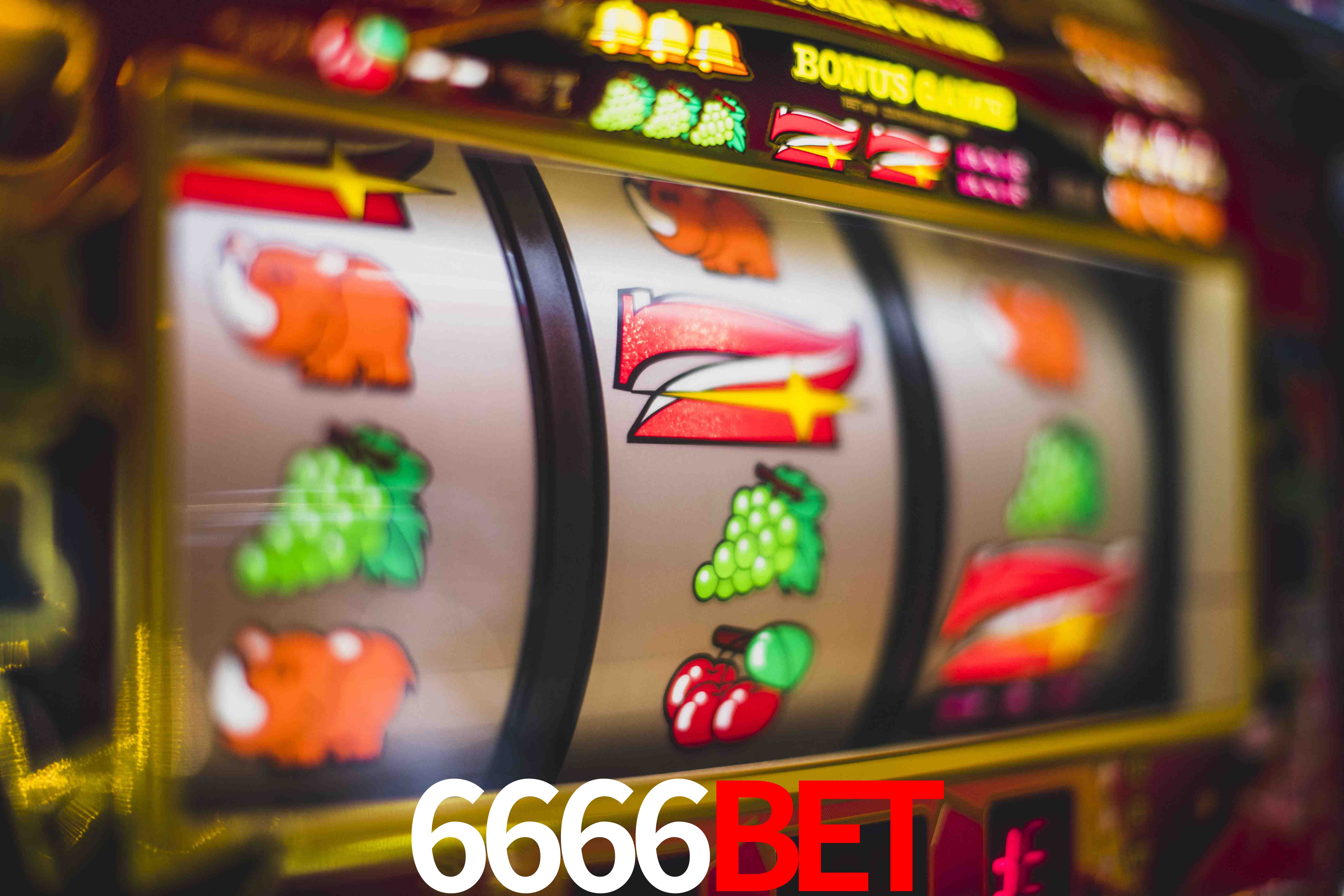 Sports Statistics 6666BET